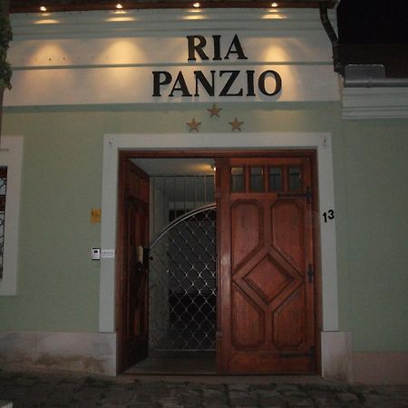 Ria Panzio Bed & Breakfast Strigoniu Exterior foto