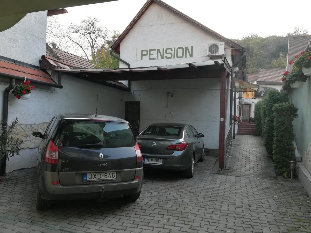 Ria Panzio Bed & Breakfast Strigoniu Exterior foto